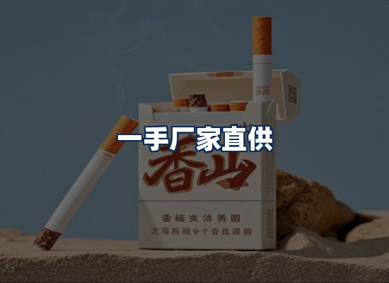 专业团队办公环境
